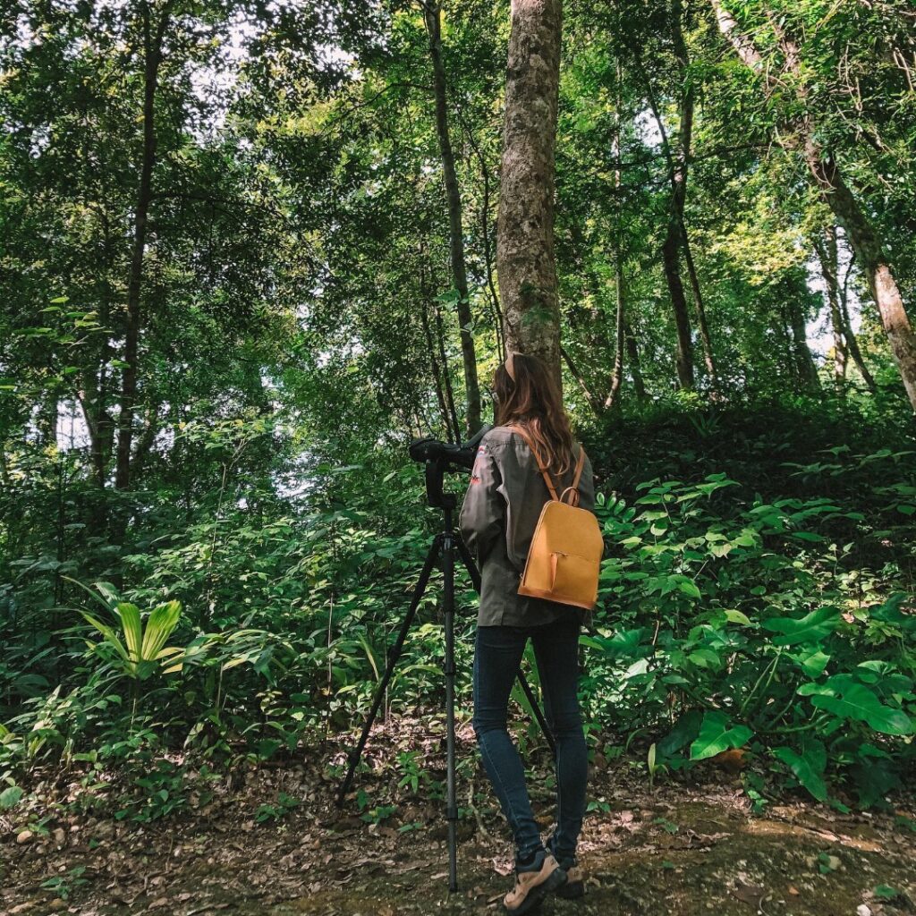 Birding in Belize