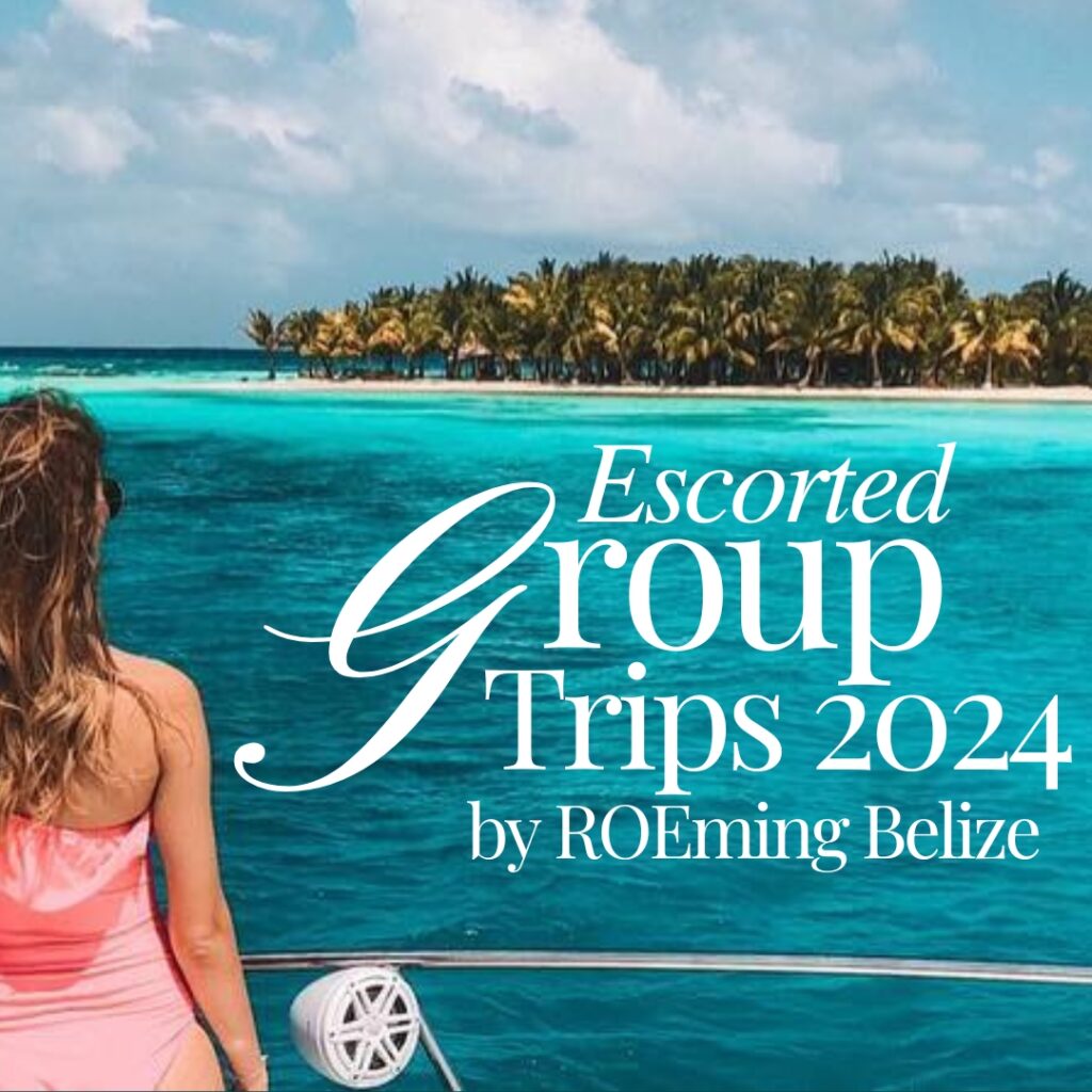 roeming belize travel agency1